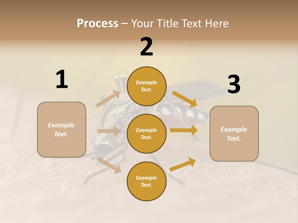 Sucking Carrier Sting PowerPoint Template