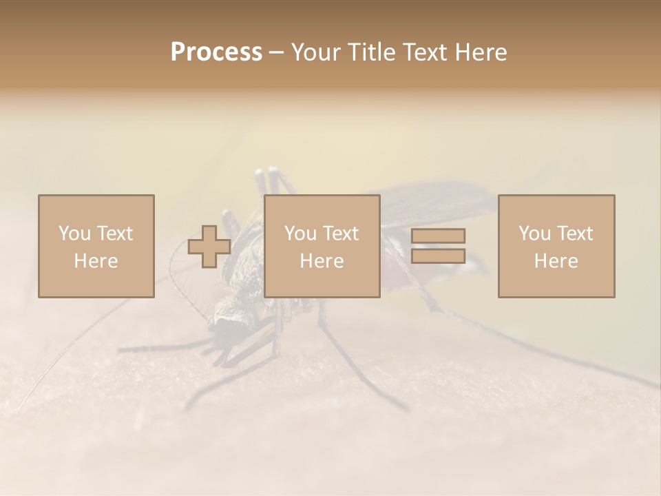 Sucking Carrier Sting PowerPoint Template
