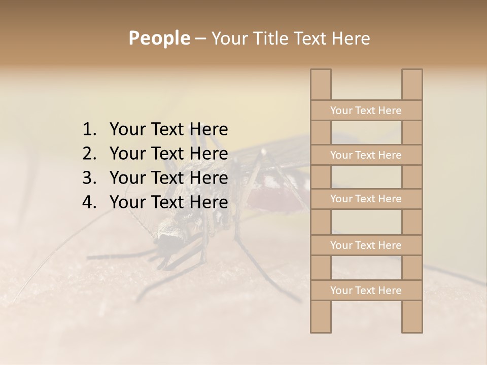 Sucking Carrier Sting PowerPoint Template