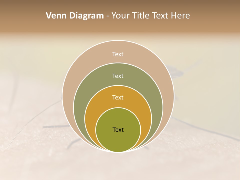 Sucking Carrier Sting PowerPoint Template