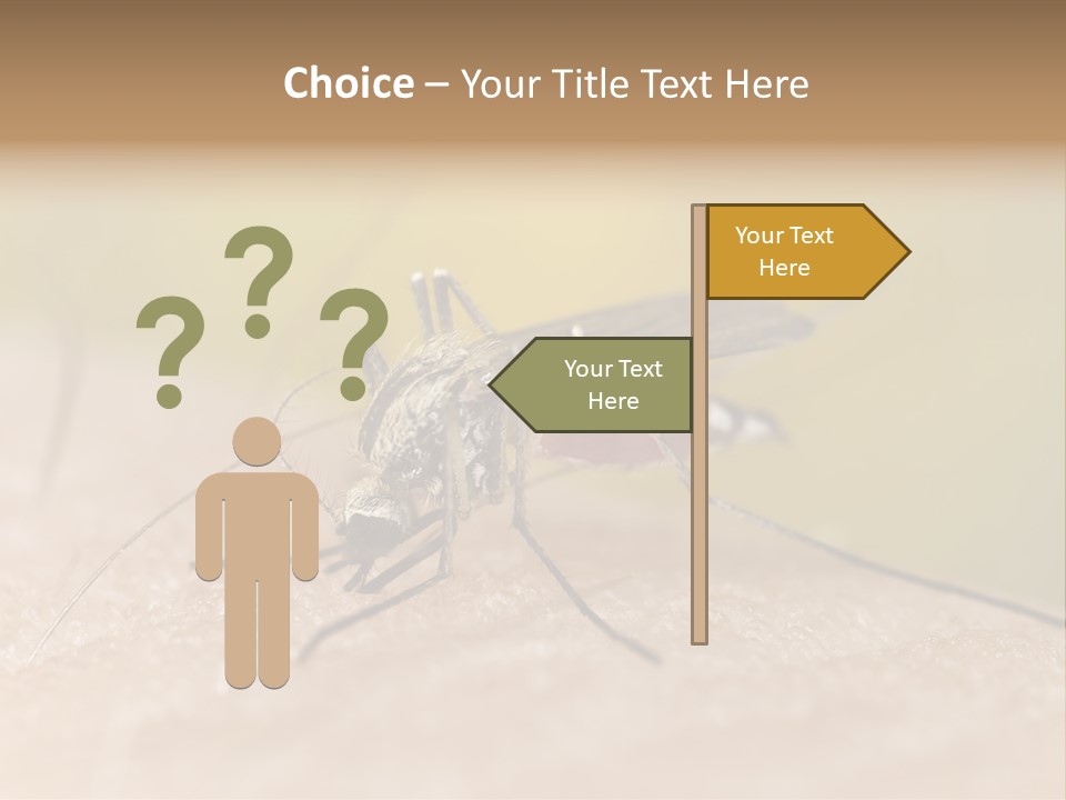 Sucking Carrier Sting PowerPoint Template