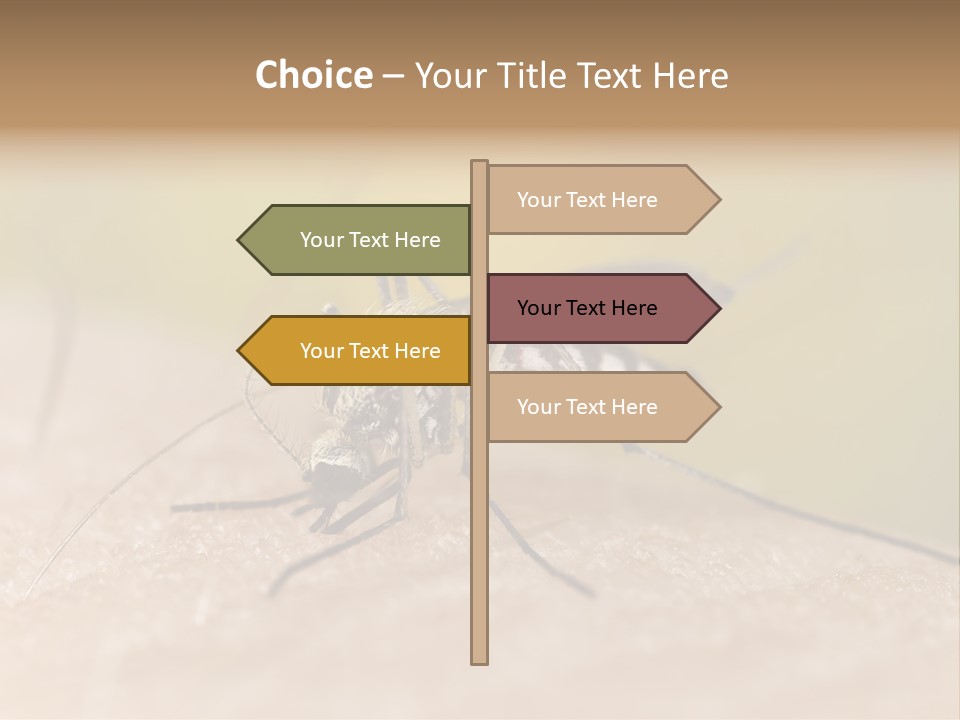 Sucking Carrier Sting PowerPoint Template