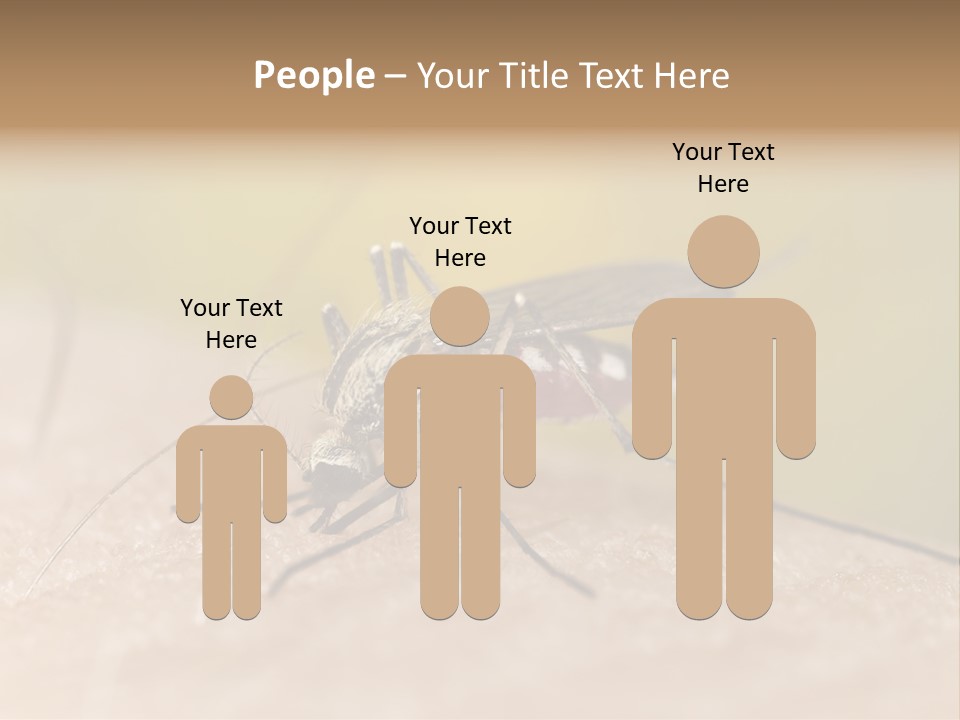Sucking Carrier Sting PowerPoint Template