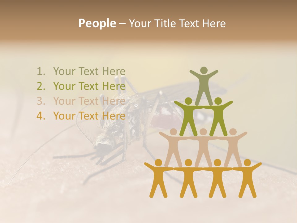 Sucking Carrier Sting PowerPoint Template