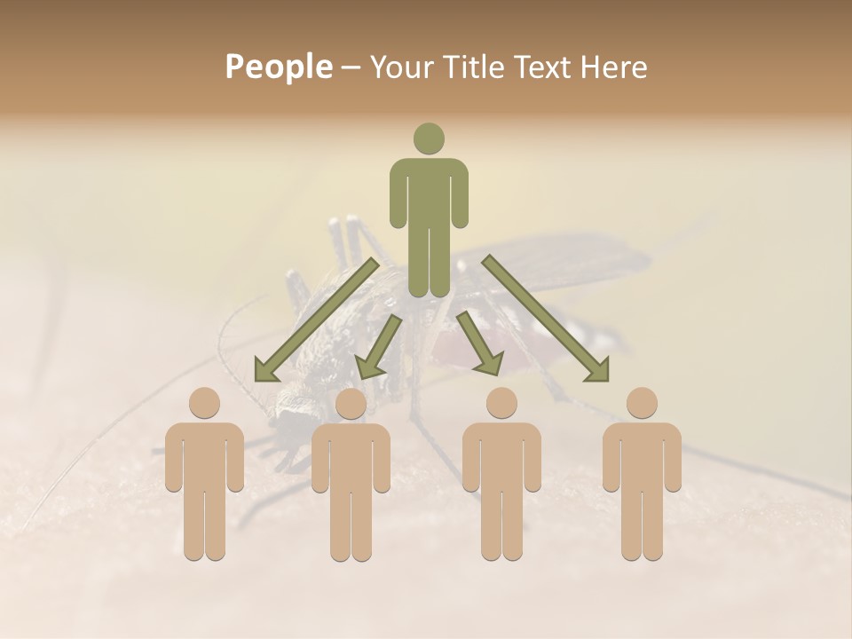 Sucking Carrier Sting PowerPoint Template