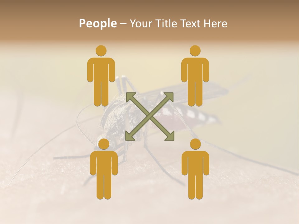 Sucking Carrier Sting PowerPoint Template