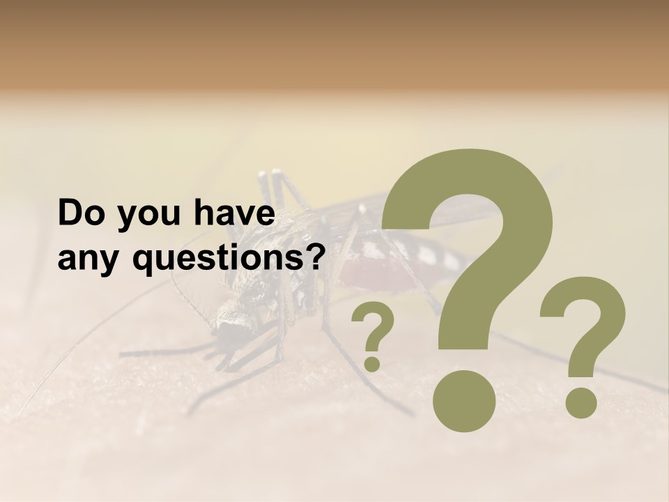 Sucking Carrier Sting PowerPoint Template