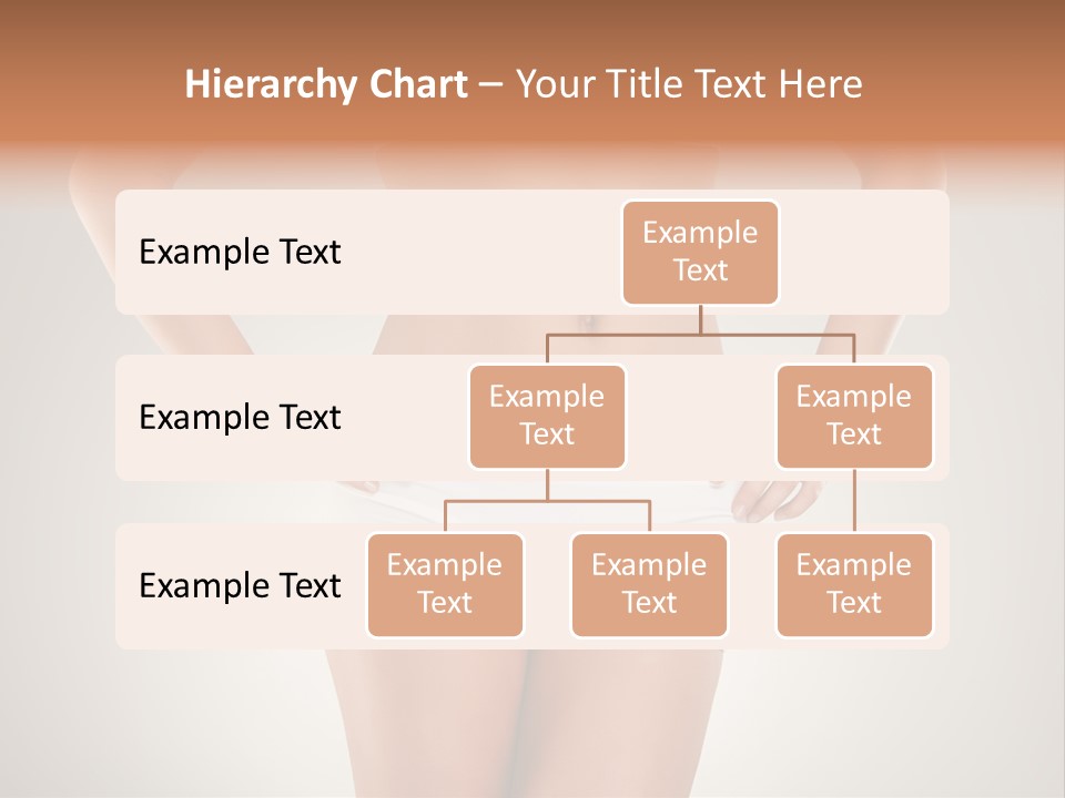 One Stomach Slender PowerPoint Template