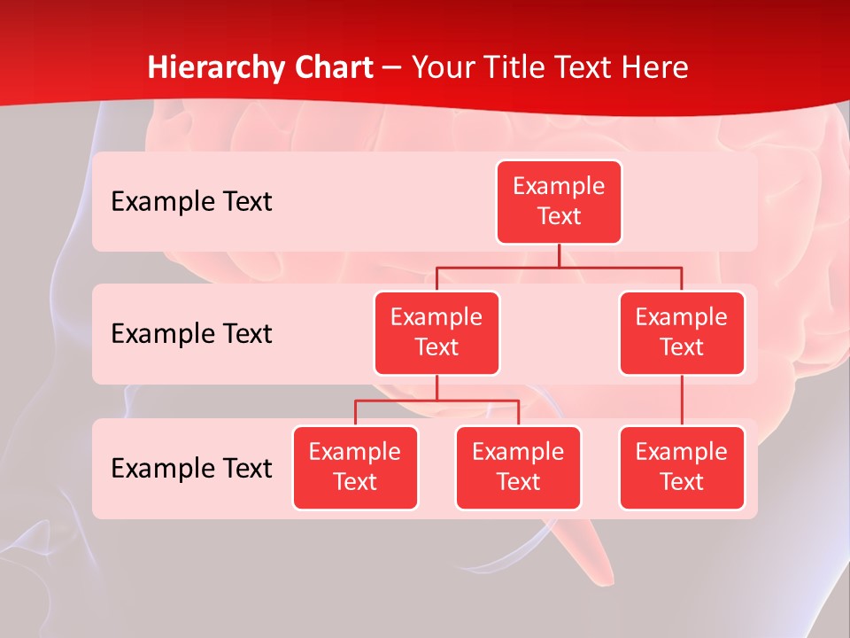 Light Sign Brainstorm PowerPoint Template