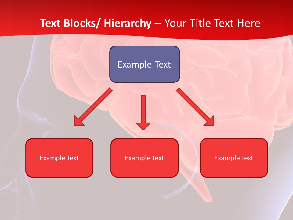 Light Sign Brainstorm PowerPoint Template