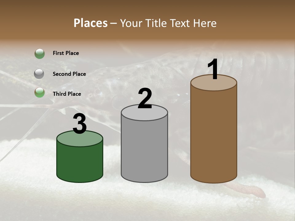 Bulb Lamp  PowerPoint Template