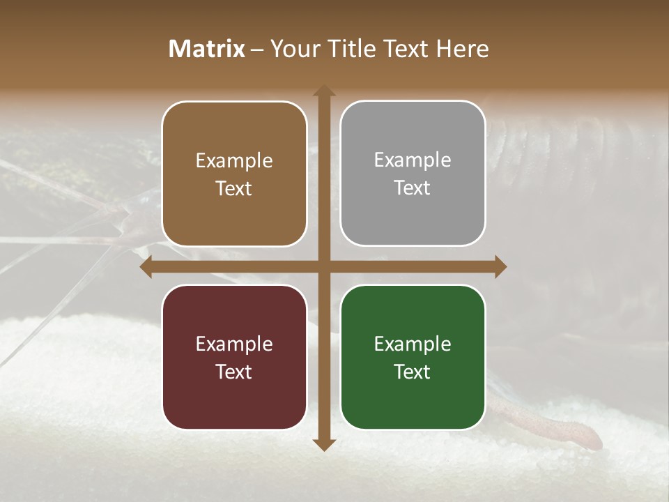 Bulb Lamp  PowerPoint Template