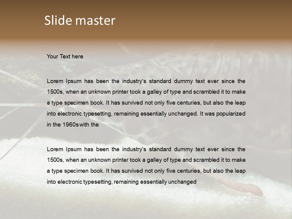 Bulb Lamp  PowerPoint Template