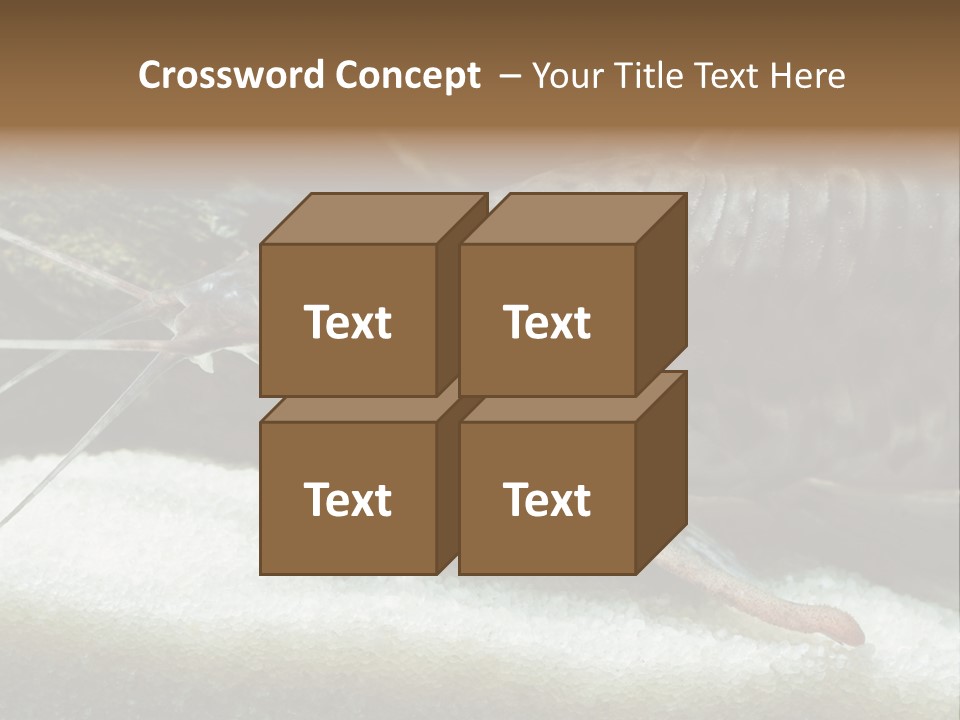 Bulb Lamp  PowerPoint Template