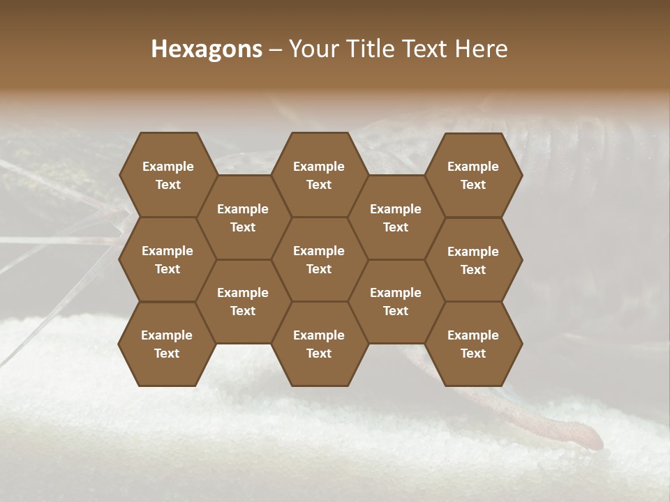 Bulb Lamp  PowerPoint Template