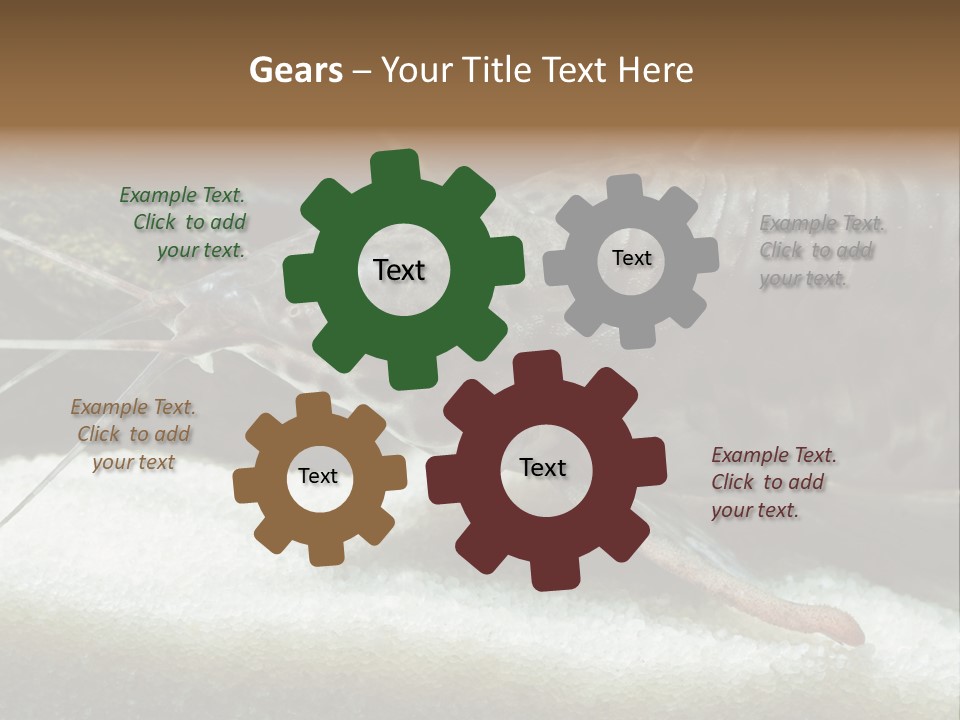 Bulb Lamp  PowerPoint Template