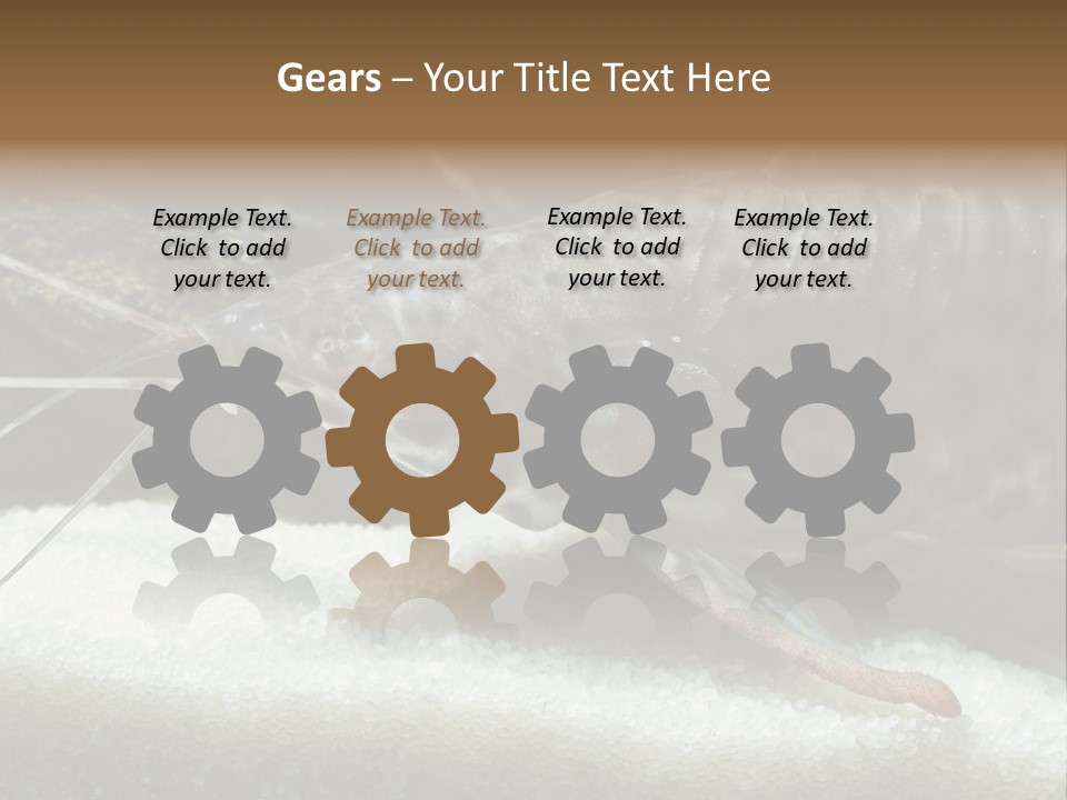 Bulb Lamp  PowerPoint Template