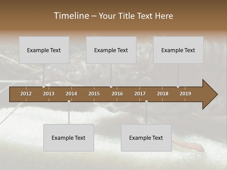 Bulb Lamp  PowerPoint Template