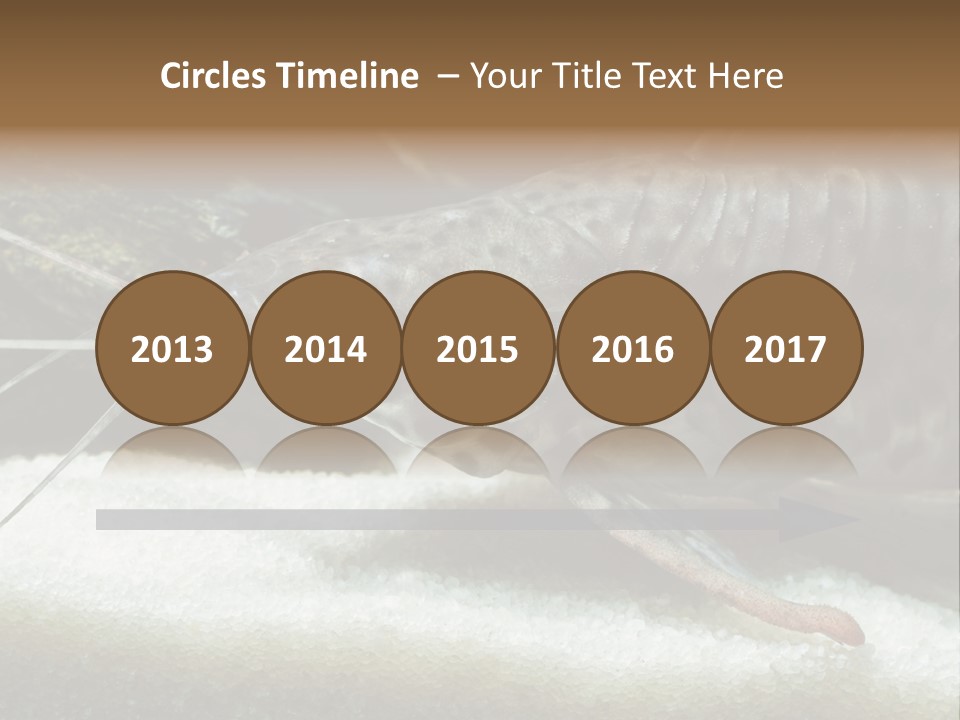 Bulb Lamp  PowerPoint Template