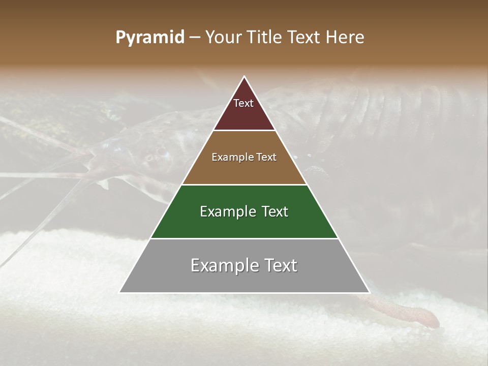 Bulb Lamp  PowerPoint Template