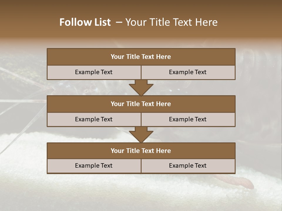 Bulb Lamp  PowerPoint Template