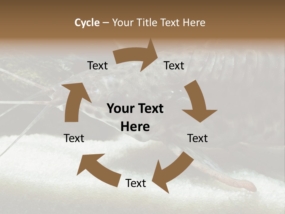 Bulb Lamp  PowerPoint Template