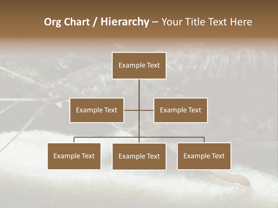 Bulb Lamp  PowerPoint Template