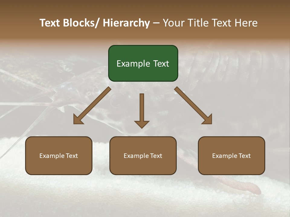 Bulb Lamp  PowerPoint Template