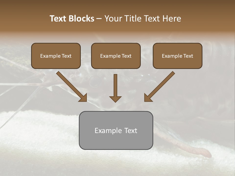 Bulb Lamp  PowerPoint Template