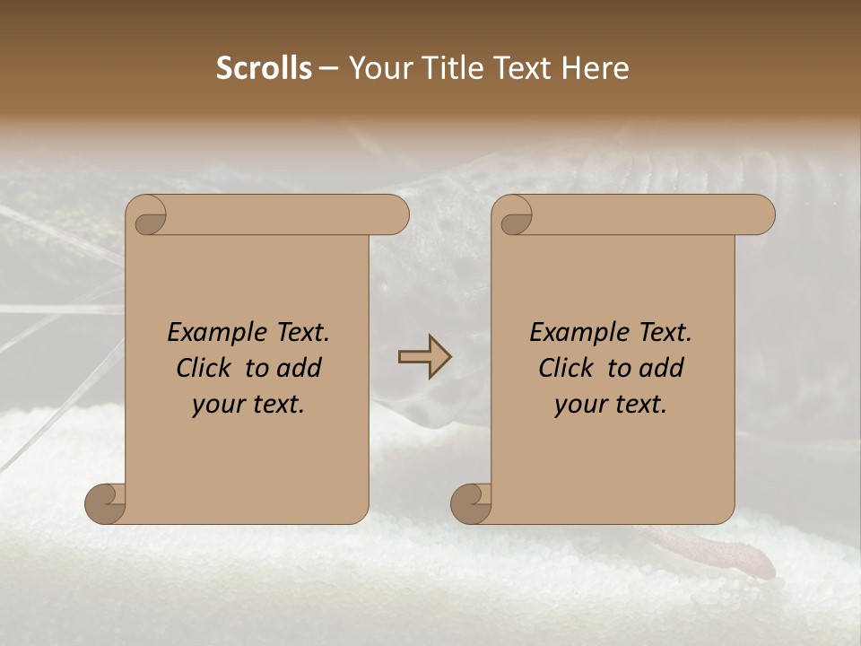 Bulb Lamp  PowerPoint Template