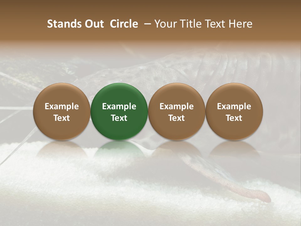 Bulb Lamp  PowerPoint Template