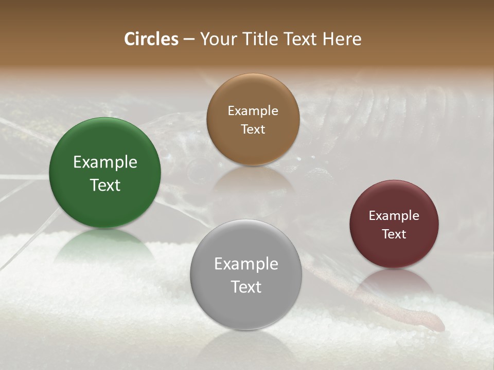 Bulb Lamp  PowerPoint Template