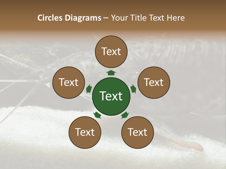 Bulb Lamp  PowerPoint Template