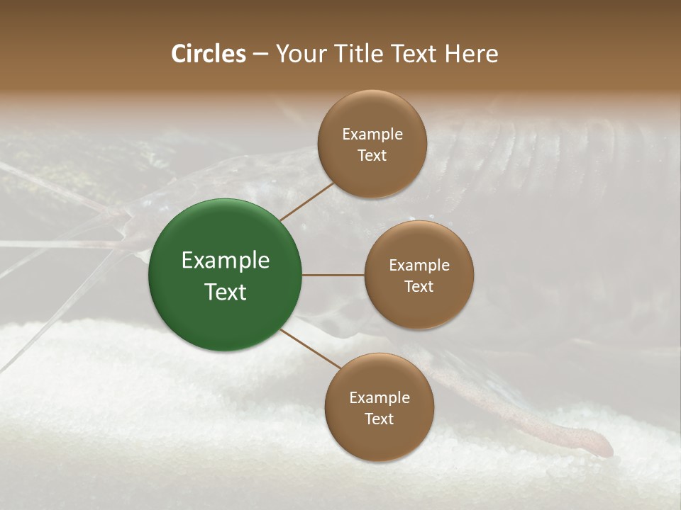 Bulb Lamp  PowerPoint Template