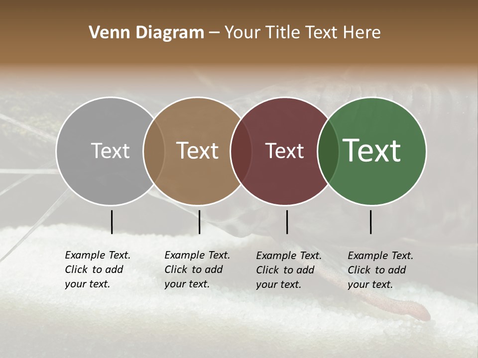 Bulb Lamp  PowerPoint Template