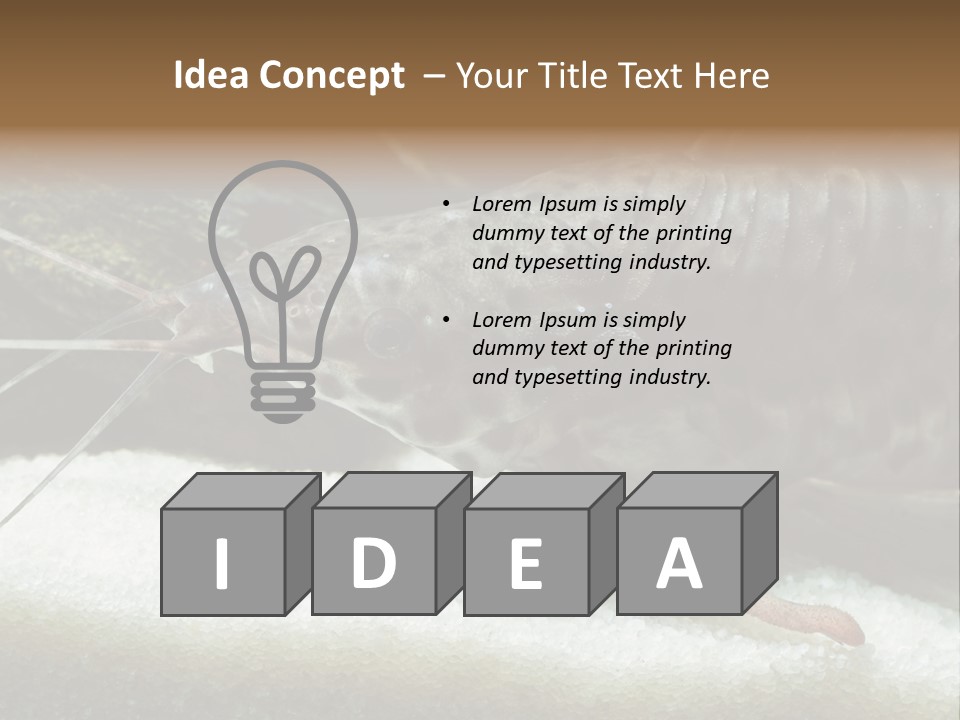 Bulb Lamp  PowerPoint Template