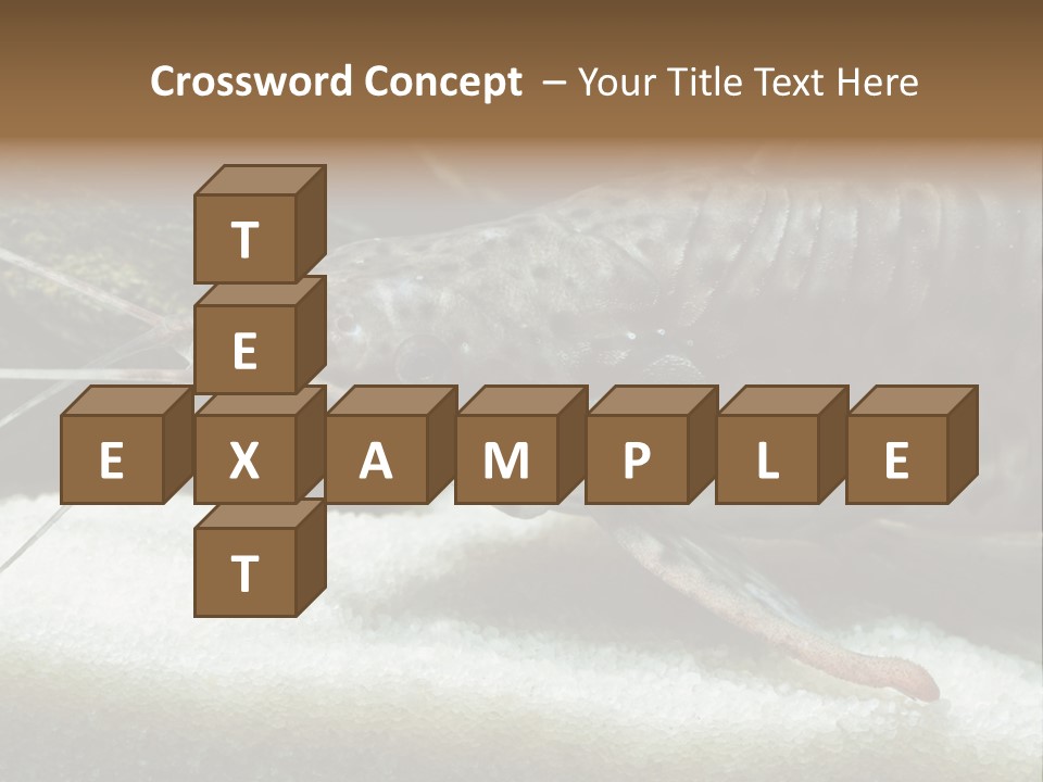 Bulb Lamp  PowerPoint Template