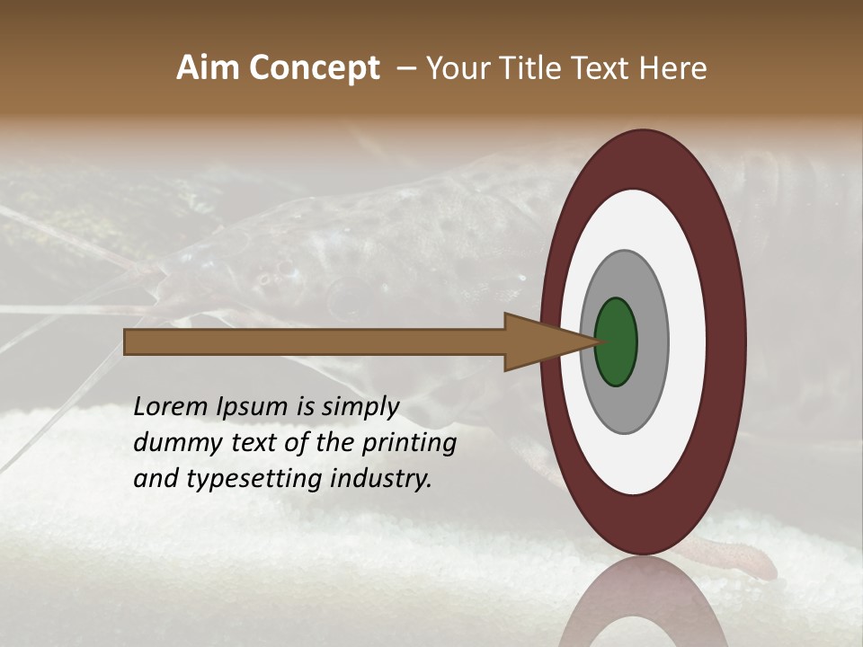 Bulb Lamp  PowerPoint Template