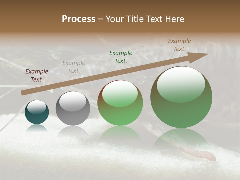 Bulb Lamp  PowerPoint Template