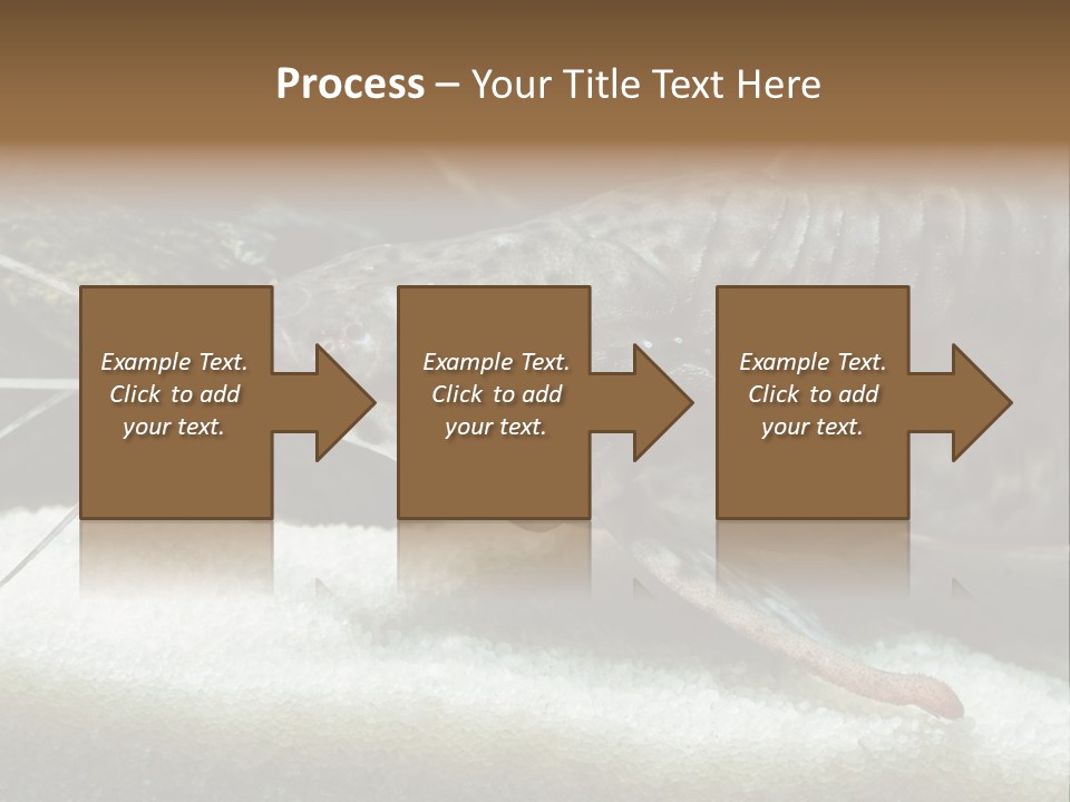 Bulb Lamp  PowerPoint Template