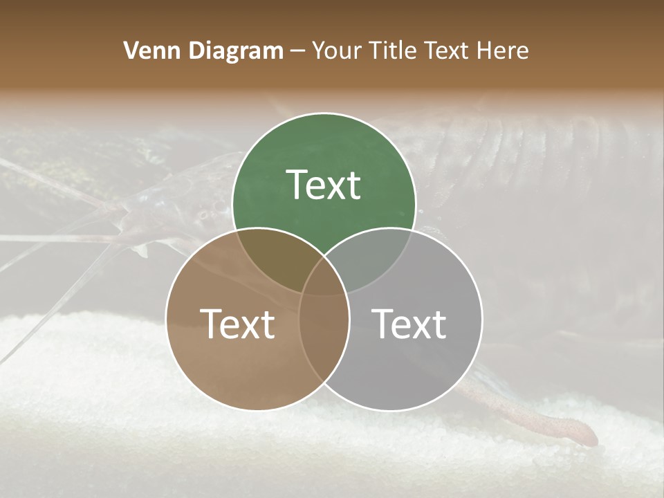 Bulb Lamp  PowerPoint Template