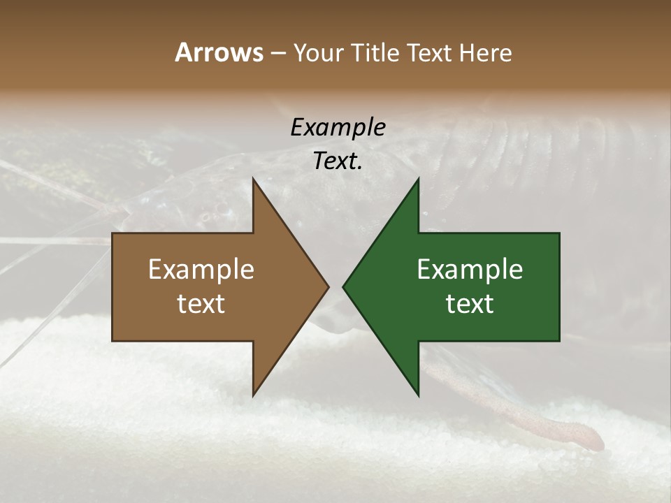 Bulb Lamp  PowerPoint Template