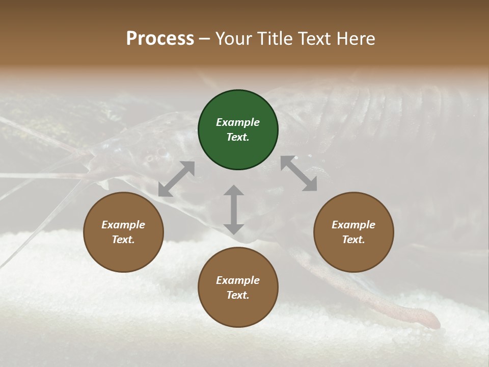 Bulb Lamp  PowerPoint Template
