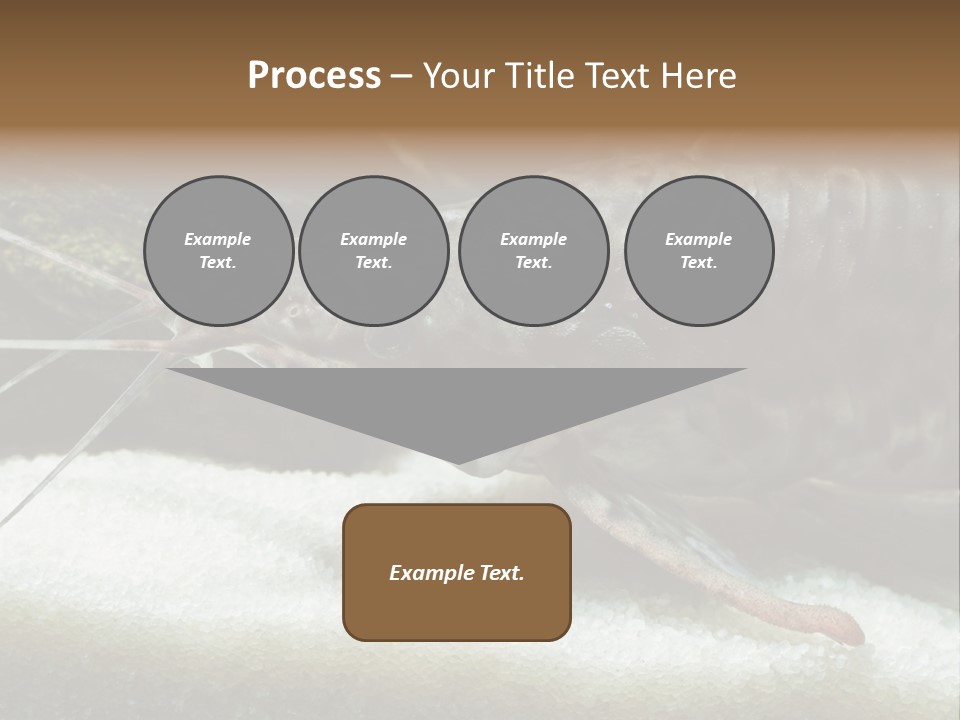 Bulb Lamp  PowerPoint Template