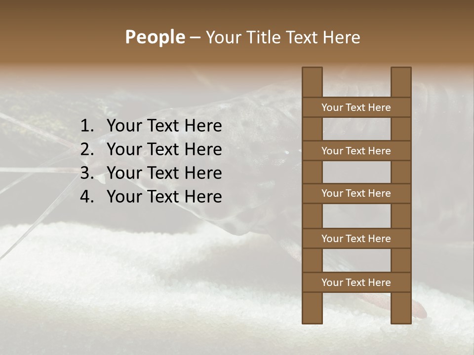 Bulb Lamp  PowerPoint Template