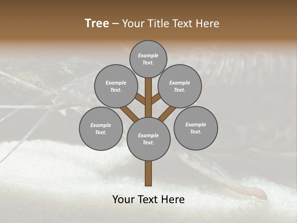 Bulb Lamp  PowerPoint Template