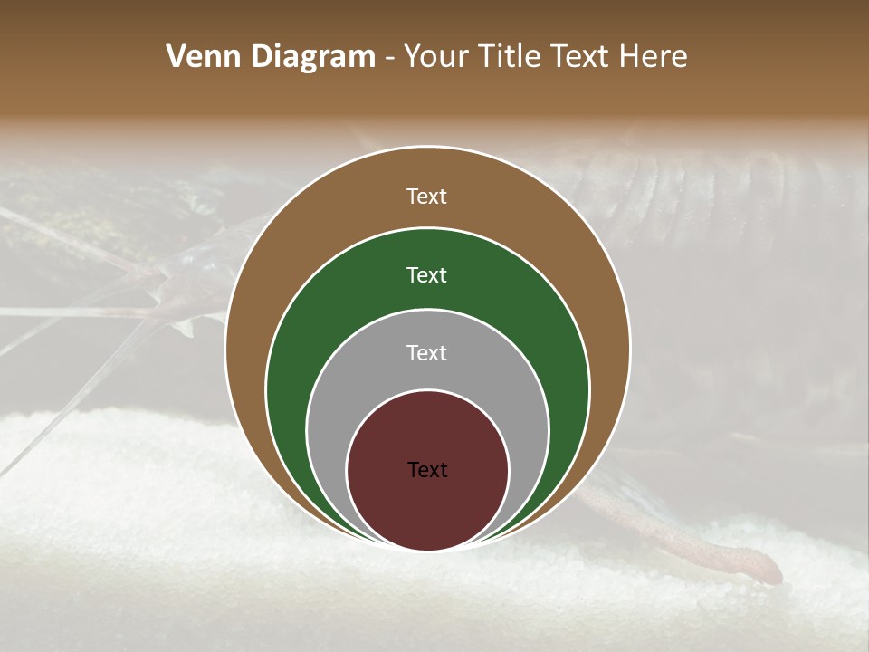 Bulb Lamp  PowerPoint Template