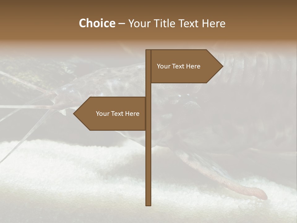 Bulb Lamp  PowerPoint Template