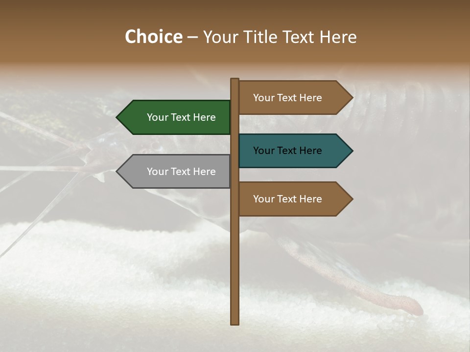 Bulb Lamp  PowerPoint Template