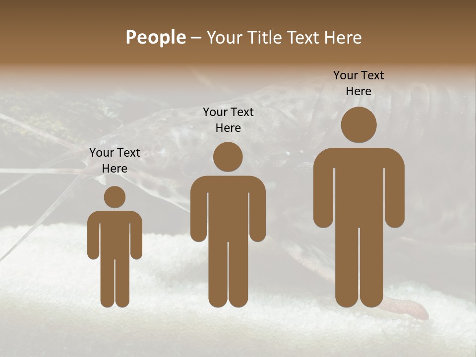 Bulb Lamp  PowerPoint Template